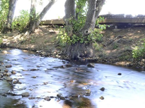 Alojamientos Rurales ラ・コドセラ エクステリア 写真